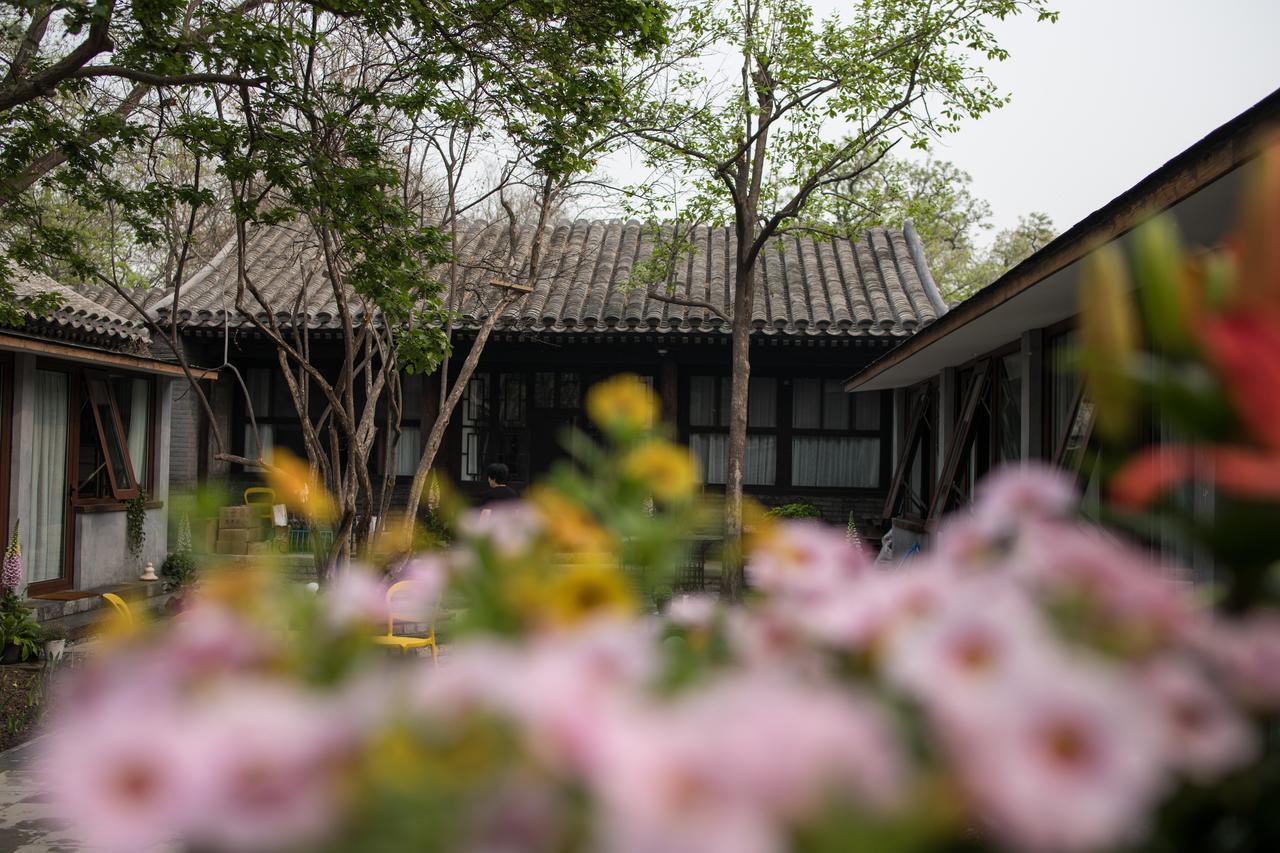 Courtyard Guesthouse, بكين المظهر الخارجي الصورة