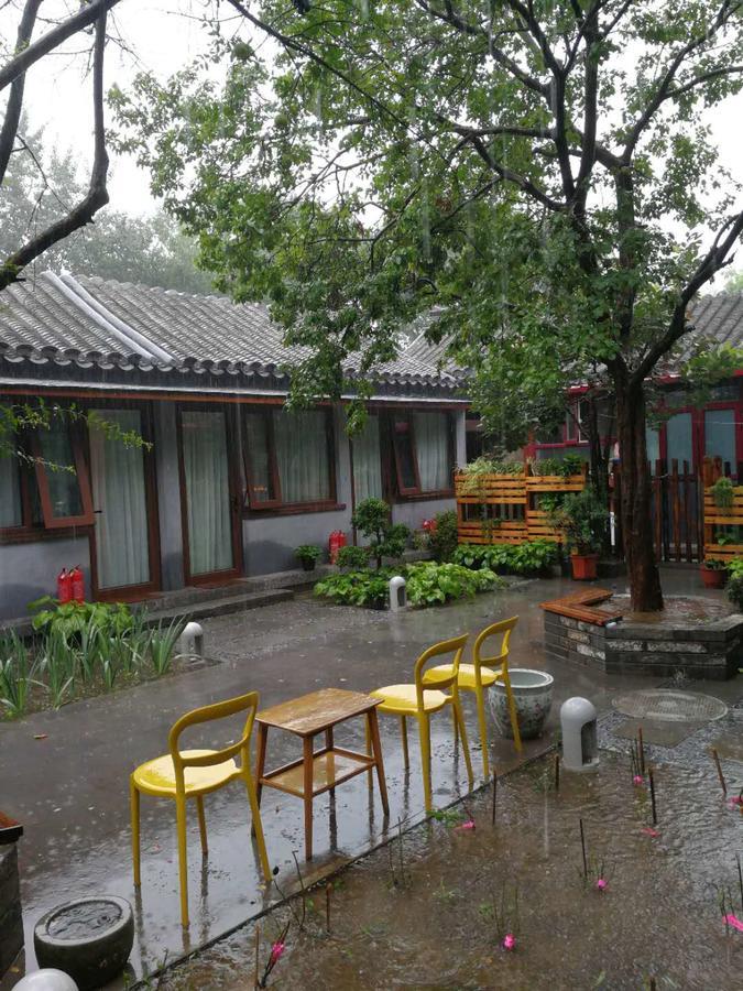 Courtyard Guesthouse, بكين المظهر الخارجي الصورة